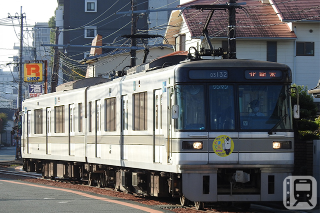 熊本电气铁道03系列车 (ゴンクロパパ/PhotoAC)